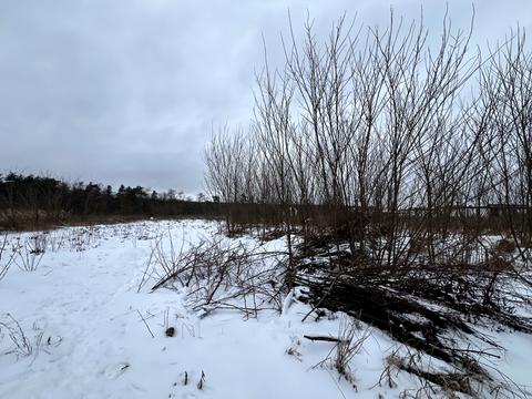 ділянка за адресою Шевченка вул.