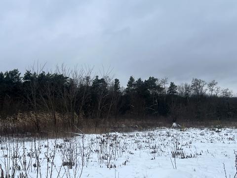 участок по адресу Шевченко ул.