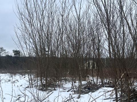 участок по адресу Шевченко ул.