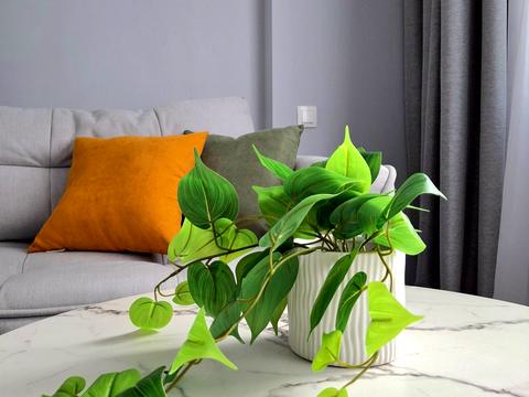 квартира за адресою Трускавецька вул., 4-Б