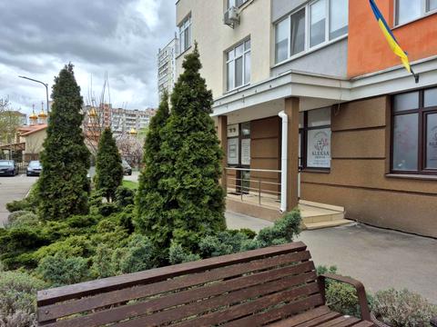 комерційна за адресою Олени Пчілки вул., 3-В