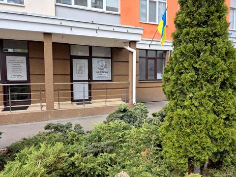 комерційна за адресою Олени Пчілки вул., 3-В