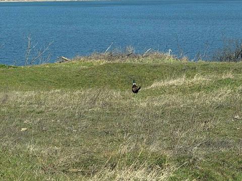 дом по адресу Прилиманська
