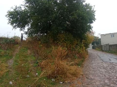 ділянка за адресою Павла Тушкана вул. (Вільямса)