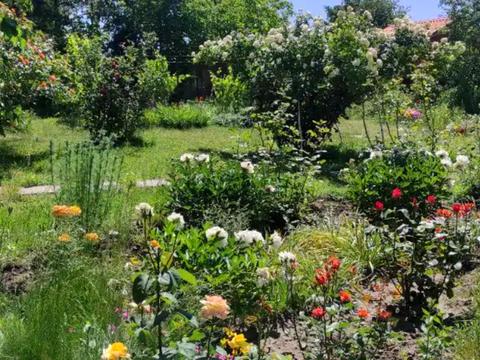 будинок за адресою Джерельна