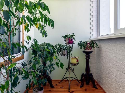 квартира за адресою Миколи Закревського вул., 97