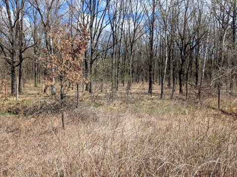 ділянка за адресою 