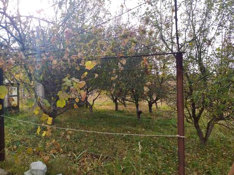 будинок за адресою шевченка