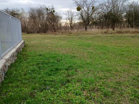 ділянка за адресою Центральна