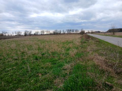 ділянка за адресою 