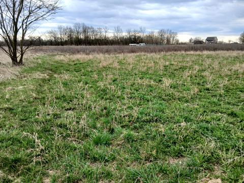 ділянка за адресою 