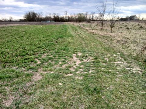 ділянка за адресою 