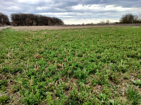 ділянка за адресою 