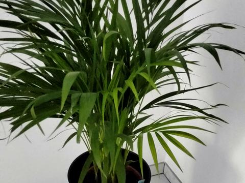 квартира за адресою Миколи Хвильового вул., 5-А