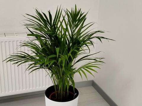 квартира за адресою Миколи Хвильового вул., 5-А