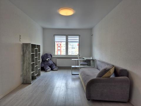 квартира по адресу Юлии Здановской ул. (Ломоносова), 81-Б