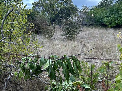 участок по адресу линия, 1