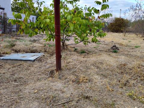 ділянка за адресою ожинова, 3