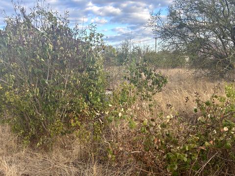 ділянка за адресою ожинова, 3