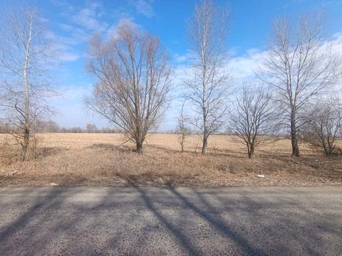 ділянка за адресою 