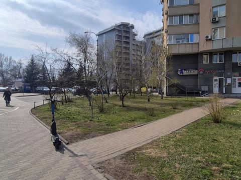 комерційна за адресою Раїси Окіпної вул., 10