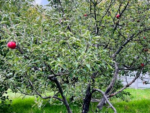 будинок за адресою Німецька вул. (Томська)