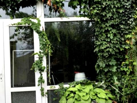 будинок за адресою Центральна вул., 18