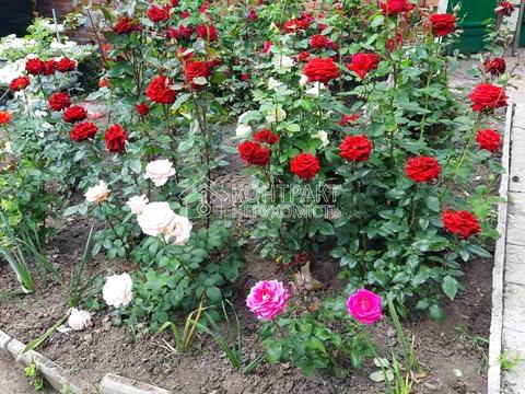 будинок за адресою вул.Бондарівська, 15