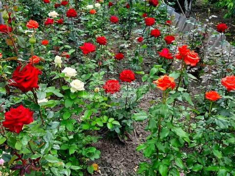 будинок за адресою вул.Бондарівська, 15