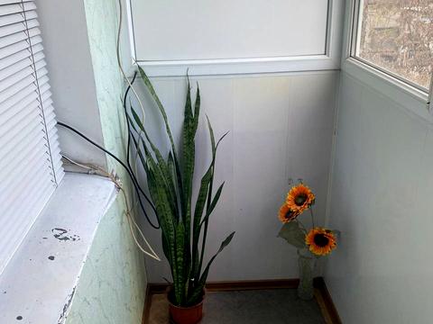 квартира по адресу Канатная ул., 18