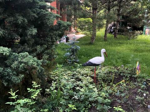 будинок за адресою с. Партизанське, Центральна вул.