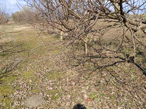 дом по адресу шевченка, 7