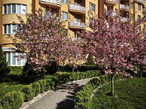 квартира за адресою Олександра Богомольця вул., 22