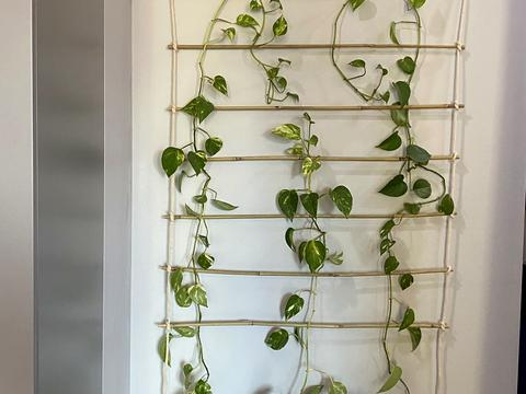 квартира по адресу Антоновича ул. (Горького), 74