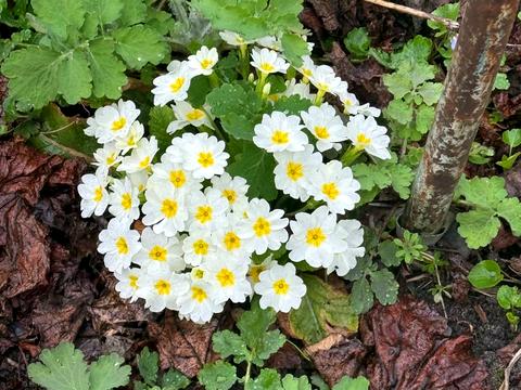 будинок за адресою Піщана вул.