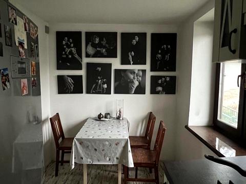 дом по адресу Фізкультурний пер., 102