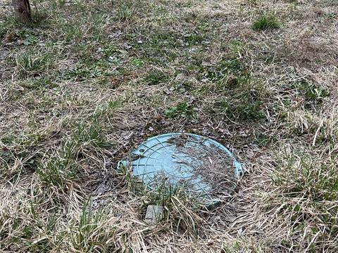 будинок за адресою Лісна вул., 4а