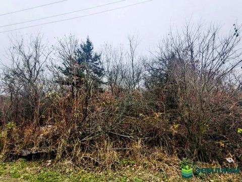 ділянка за адресою с. Микитинці, 