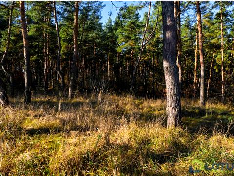 дом по адресу Ярослава Мудрого