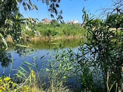 будинок за адресою Чарівна