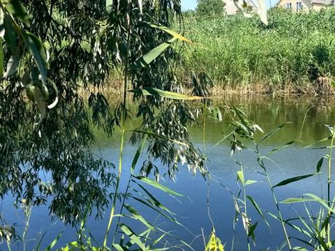 будинок за адресою Чарівна