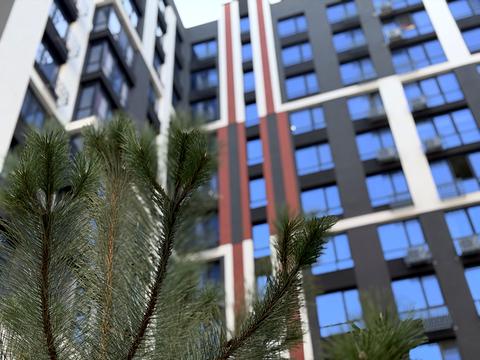 квартира по адресу Волчинецкая ул., 223-А
