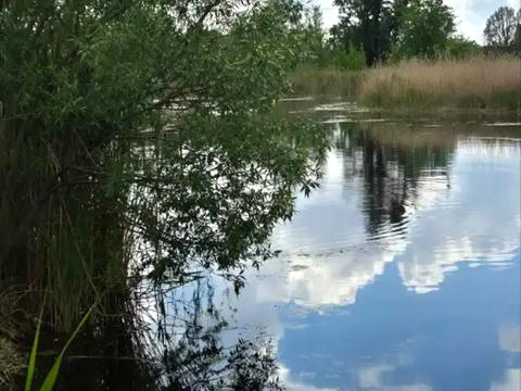 дом по адресу Шоссейная ул.