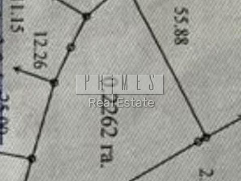 1861895850395924