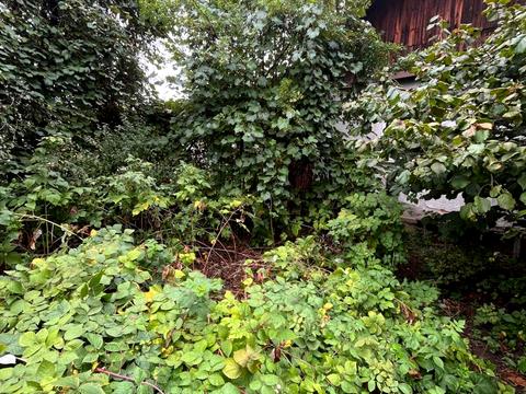 ділянка за адресою Крихівецька вул.