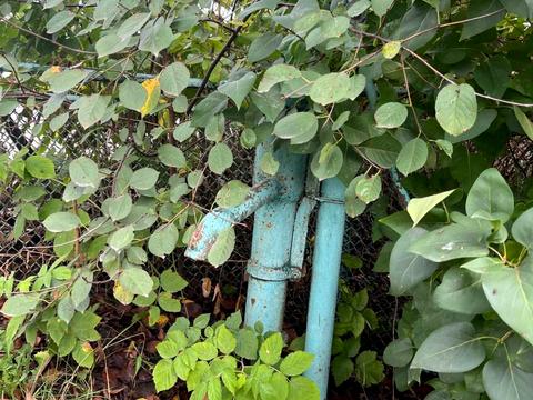 ділянка за адресою Крихівецька вул.