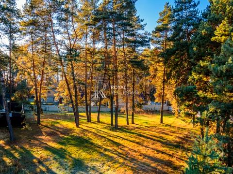 участок по адресу с. Малютянка, Котляревського