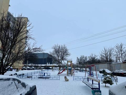 квартира по адресу Садовая ул., 22-Б