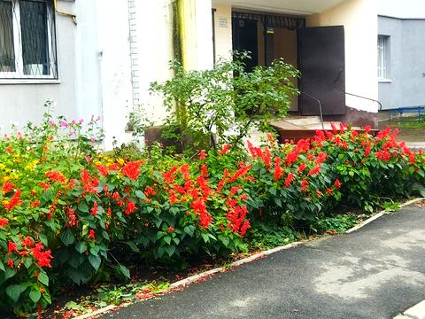 квартира по адресу Гната Юры ул., 6