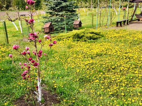 будинок за адресою Недобитка